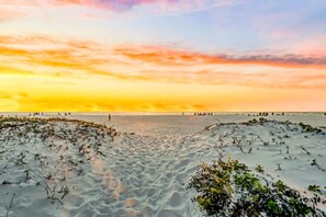 The Sand Dollar -Sunset Beach Resort (281)