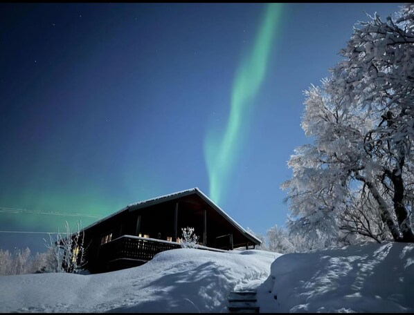photo taken by one of our dear guests 