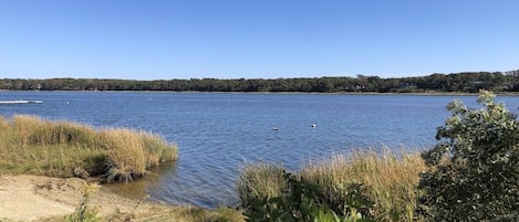 Orleans Town Cove Waterfront!