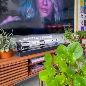 Television