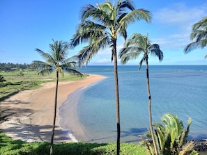 Whales could be spotted from Keaka beach located just across the street