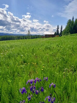 Terrain de l’hébergement 