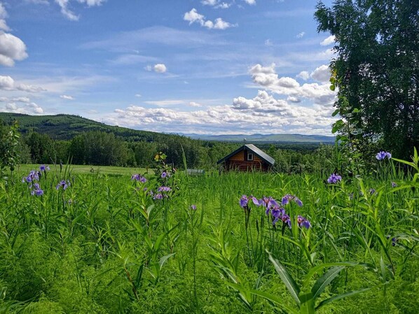 Overnatningsstedets område