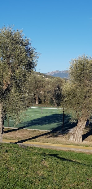 Terrain de sport