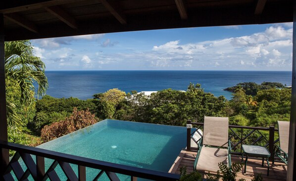 Dive into your gorgeous infinity pool and soak up the sunshine.