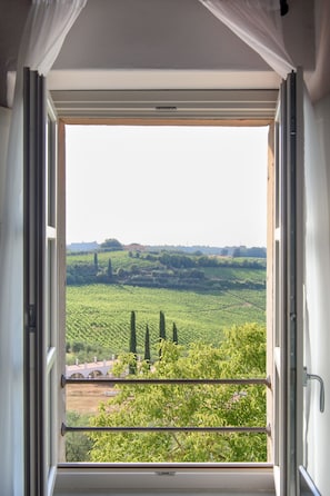 Vista desde la habitación