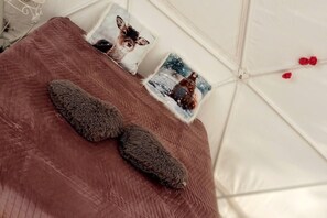 Pet-friendly