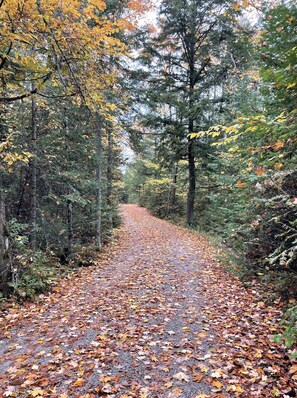 A beautiful, secluded path leads the way to the house.