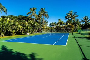 Sport court