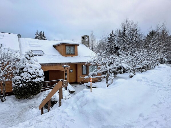 Wintertime at Forest Cottages!