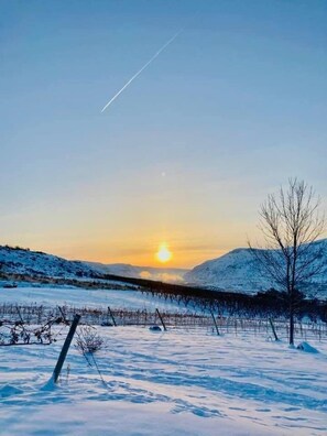 Winter sunrises 