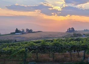 Enjoy a sunset from the Winery Lawn.