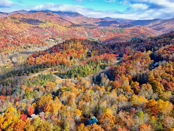 Seasonal beauty of the area around the property