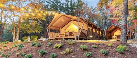 Luxury glamping experience in the Smoky Mountains!