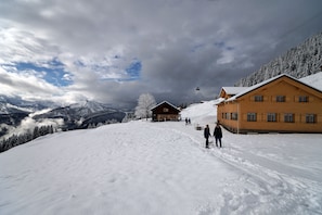 Snow and ski sports