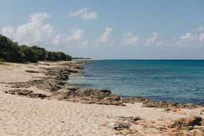 Shot of the beach, it's rare to see anyone on our little stretch of beach!