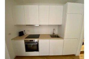 Fully equiped Kitchen (induction cooker, oven, dishwasher, fridge, freezer