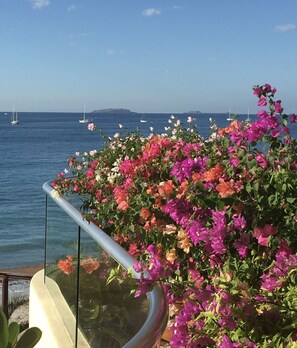 Our beautiful terraces surrounded by the ocean 🌈