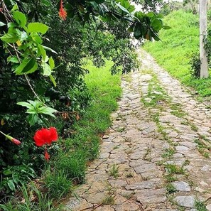 Εξωτερικός χώρος καταλύματος