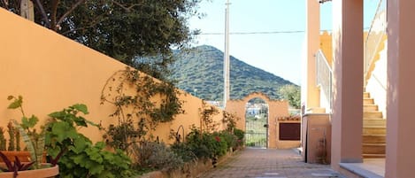 Planta, Cielo, Propiedad, Sombra, Superficie De La Carretera, Amarillo, Línea, Pared, Barrio Residencial, Piso