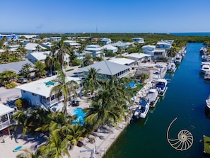 Paradise South