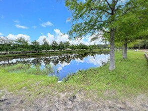 Cypress Pond, 1 of 2 Ponds