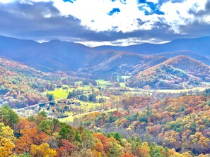 Back Deck View