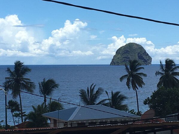 Beach/ocean view