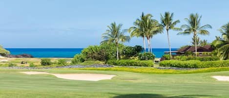 Golf Course- Ocean Views