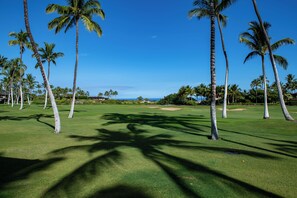 Golf Course to the Ocean ! 