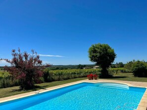 Pool with vineyard views
