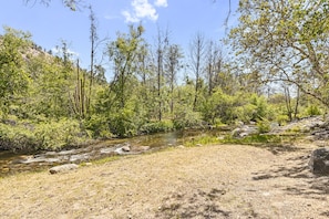 This river passes just a few steps from the tiny home!