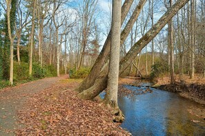 Creek with greenway