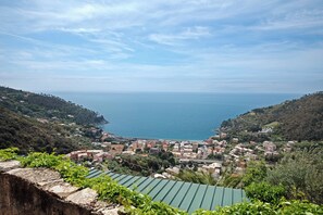 Vue depuis l’hébergement