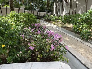 Our gardeners work hard to keep the grounds looking good!