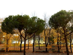 Park on the river in front Building