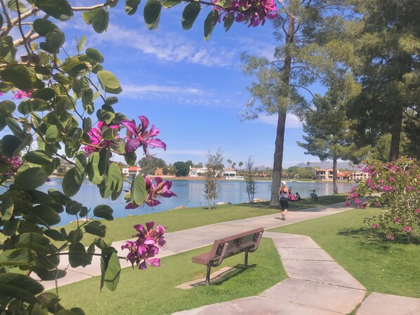 Entrance to our 28 Mile Walking, Cycling, Jogging Path in front of the Community