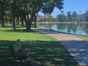 Our Picture Perfect Walk toward Camelback Mountain in the distance