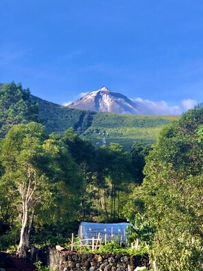 View of Mount Pico from our gardens.