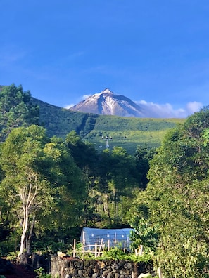 Terrenos do alojamento