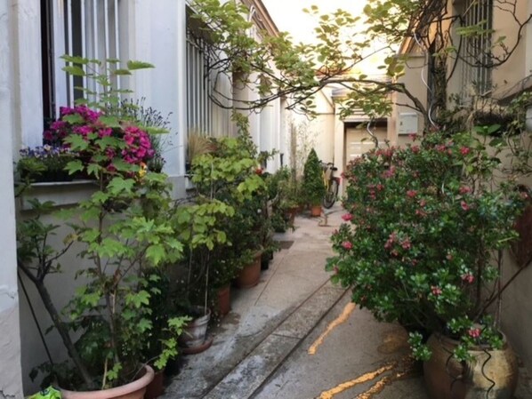 having a garden in Paris is exceptional! specialy in the summer with flowers!