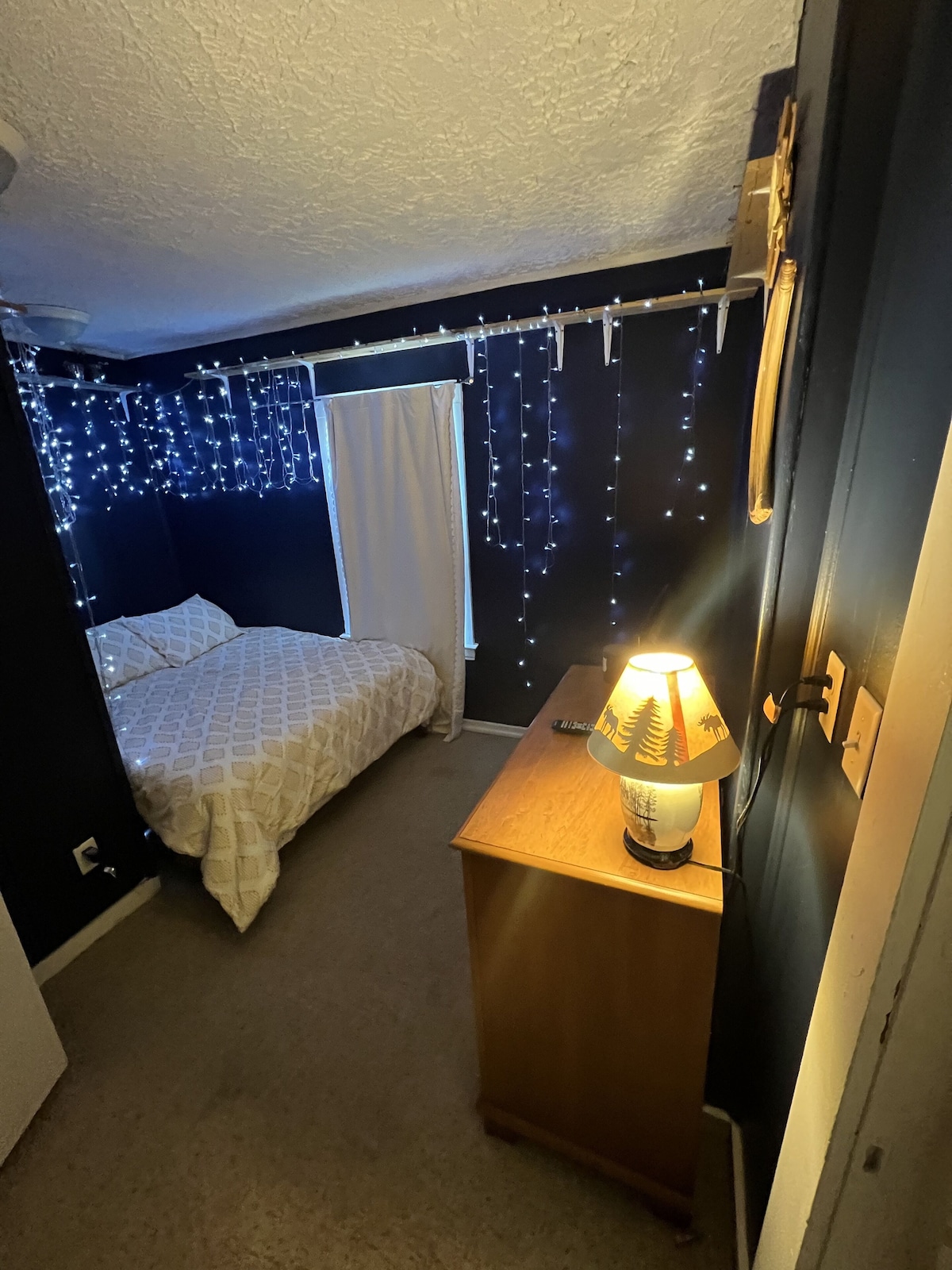 Spacious 4 bedroom home in the Vine/ Downtown Kalamazoo