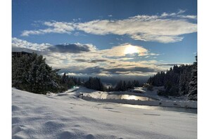 Sneeuw- en skisporten