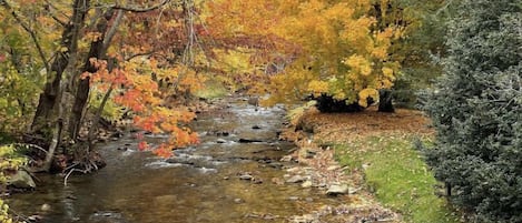 Scenic creek within walking distance of home, local eateries, and shops.