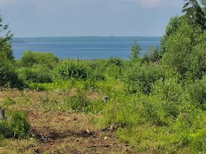 view from back deck