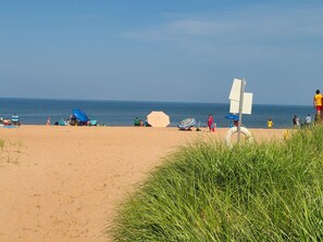 Panmure Beach 