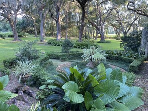 The secret garden under the canopy of oaks.