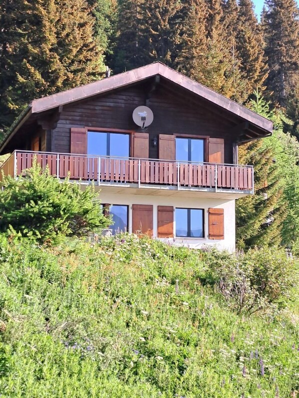 Exteriör