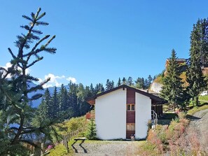 Exteriör