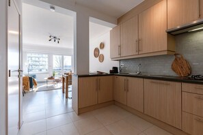 Modern open kitchen, fully equipped